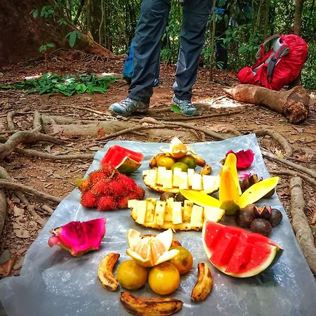 Jungle Life Guest House - Trekking & Transport Only Book With Us Bukit Lawang Eksteriør bilde