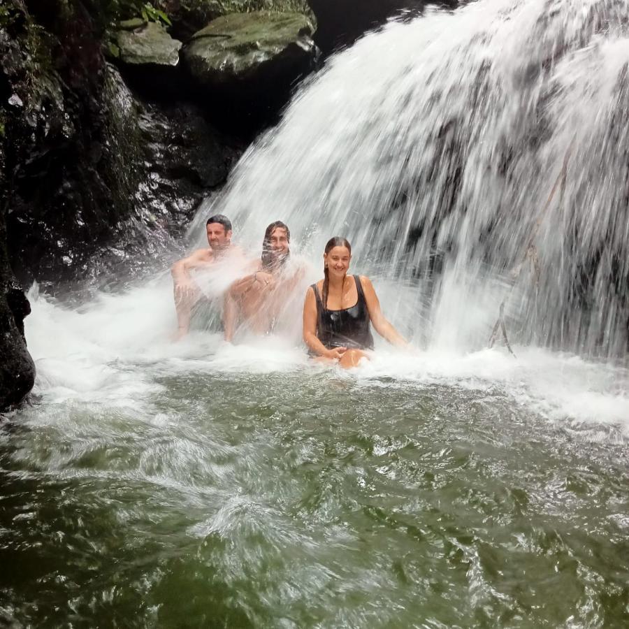 Jungle Life Guest House - Trekking & Transport Only Book With Us Bukit Lawang Eksteriør bilde