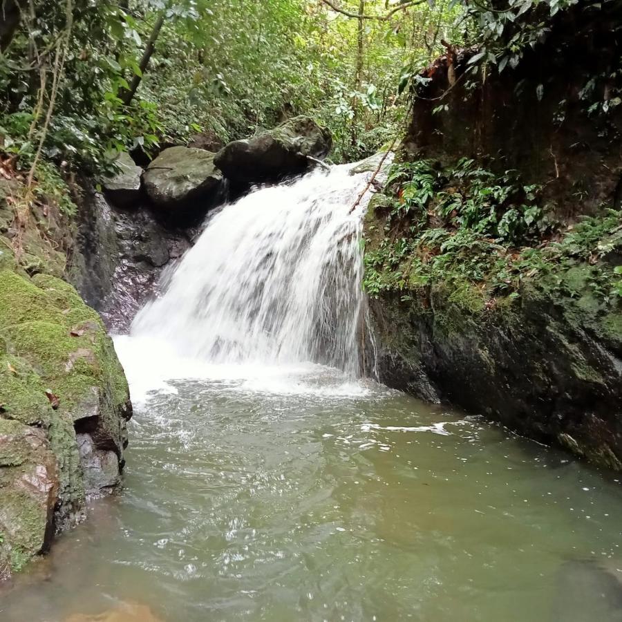 Jungle Life Guest House - Trekking & Transport Only Book With Us Bukit Lawang Eksteriør bilde