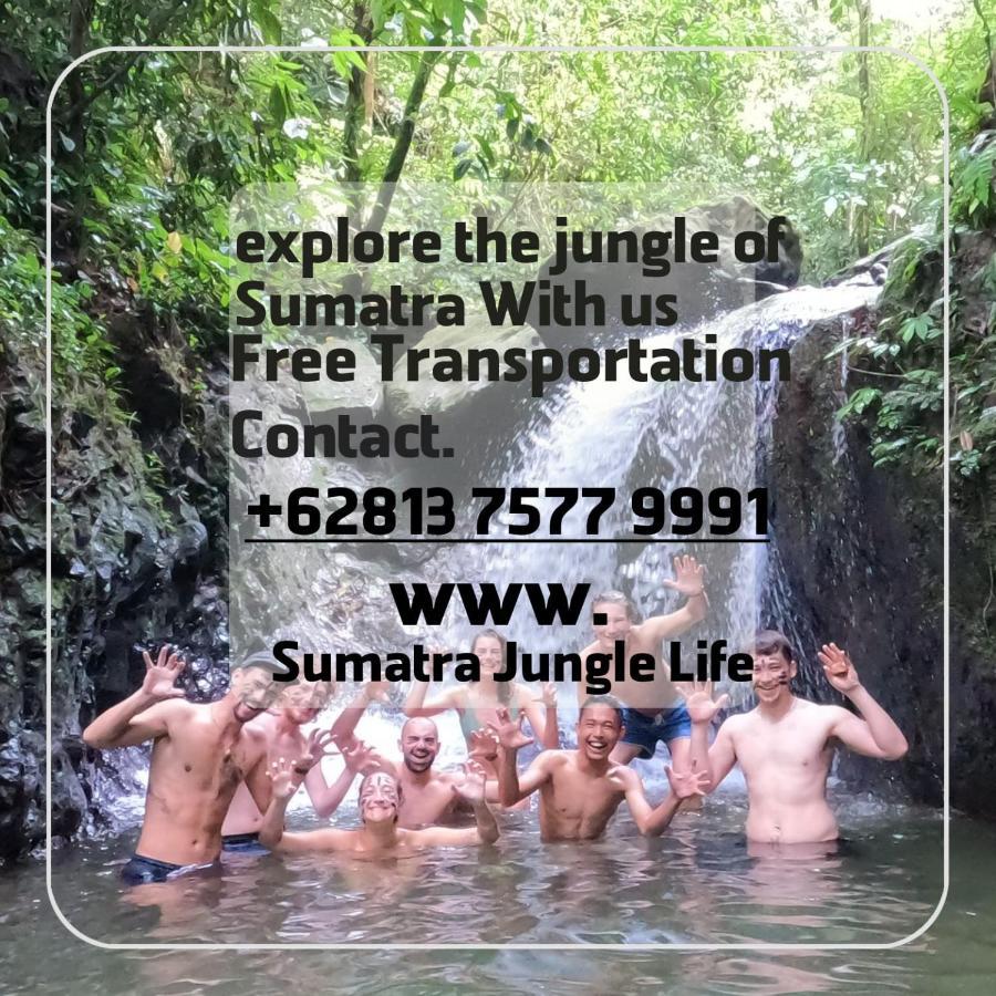 Jungle Life Guest House - Trekking & Transport Only Book With Us Bukit Lawang Eksteriør bilde