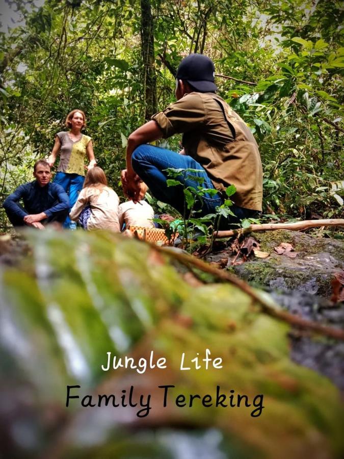 Jungle Life Guest House - Trekking & Transport Only Book With Us Bukit Lawang Eksteriør bilde