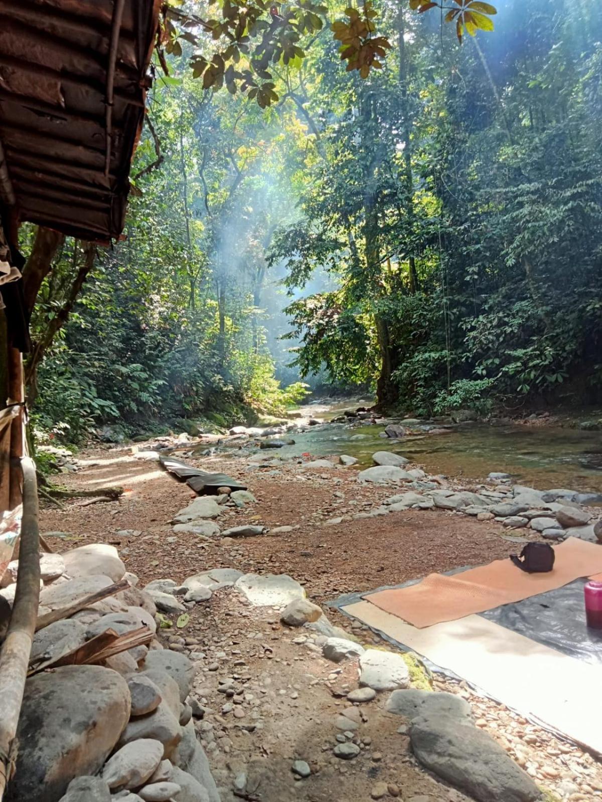 Jungle Life Guest House - Trekking & Transport Only Book With Us Bukit Lawang Eksteriør bilde