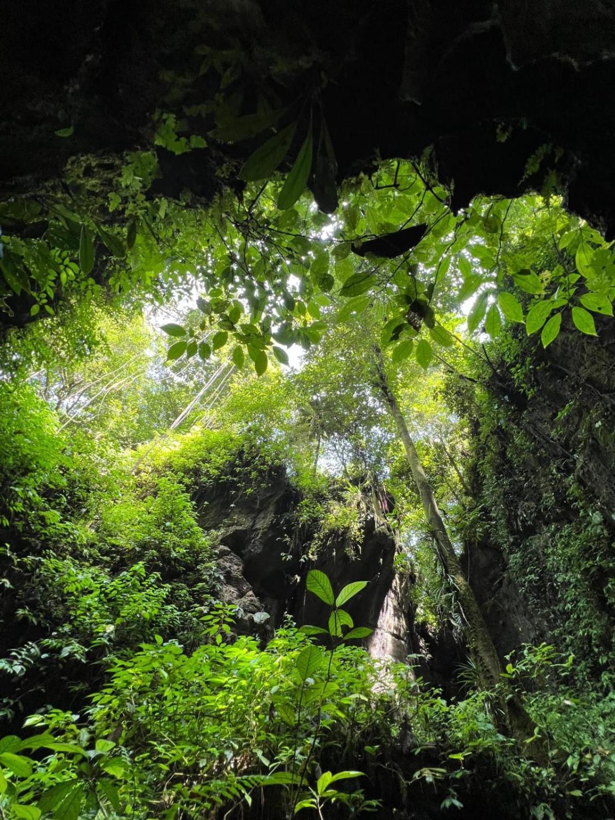 Jungle Life Guest House - Trekking & Transport Only Book With Us Bukit Lawang Eksteriør bilde