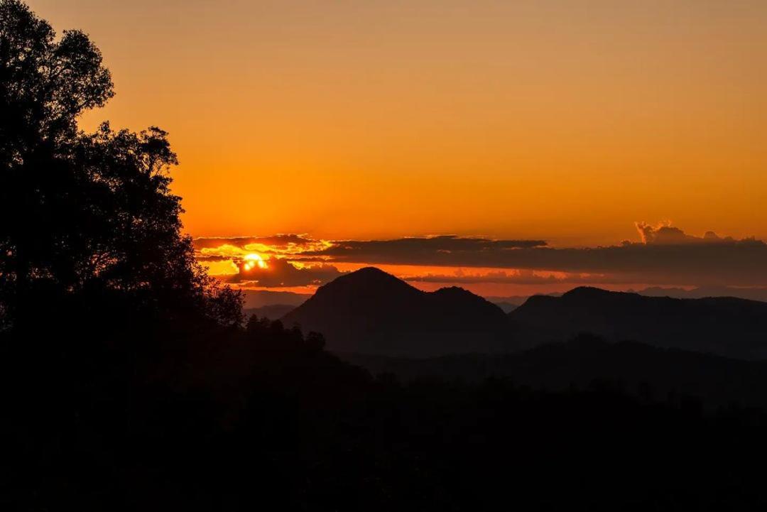 Jungle Life Guest House - Trekking & Transport Only Book With Us Bukit Lawang Eksteriør bilde
