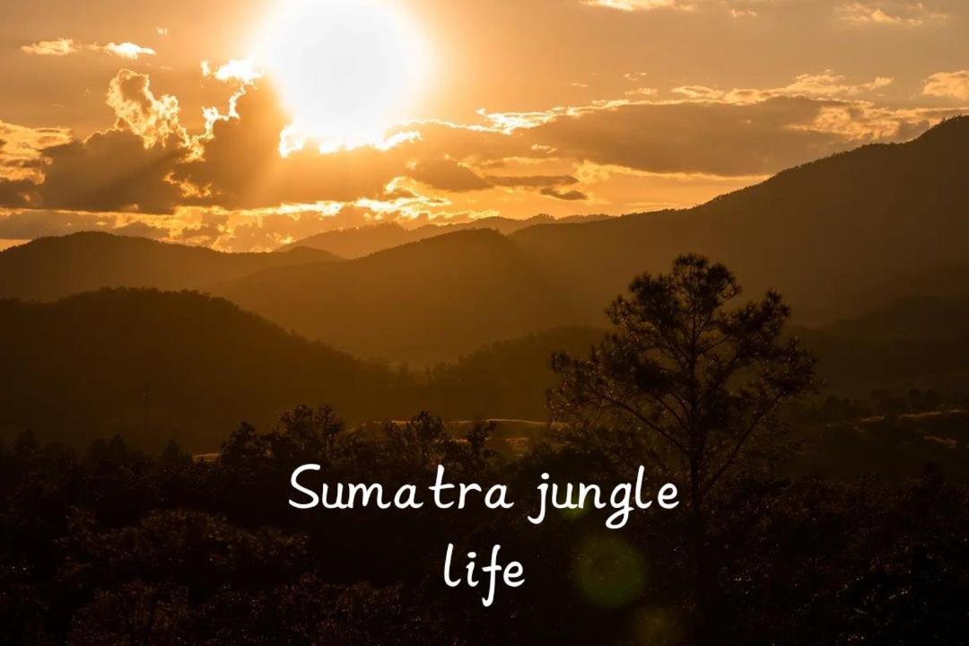 Jungle Life Guest House - Trekking & Transport Only Book With Us Bukit Lawang Eksteriør bilde