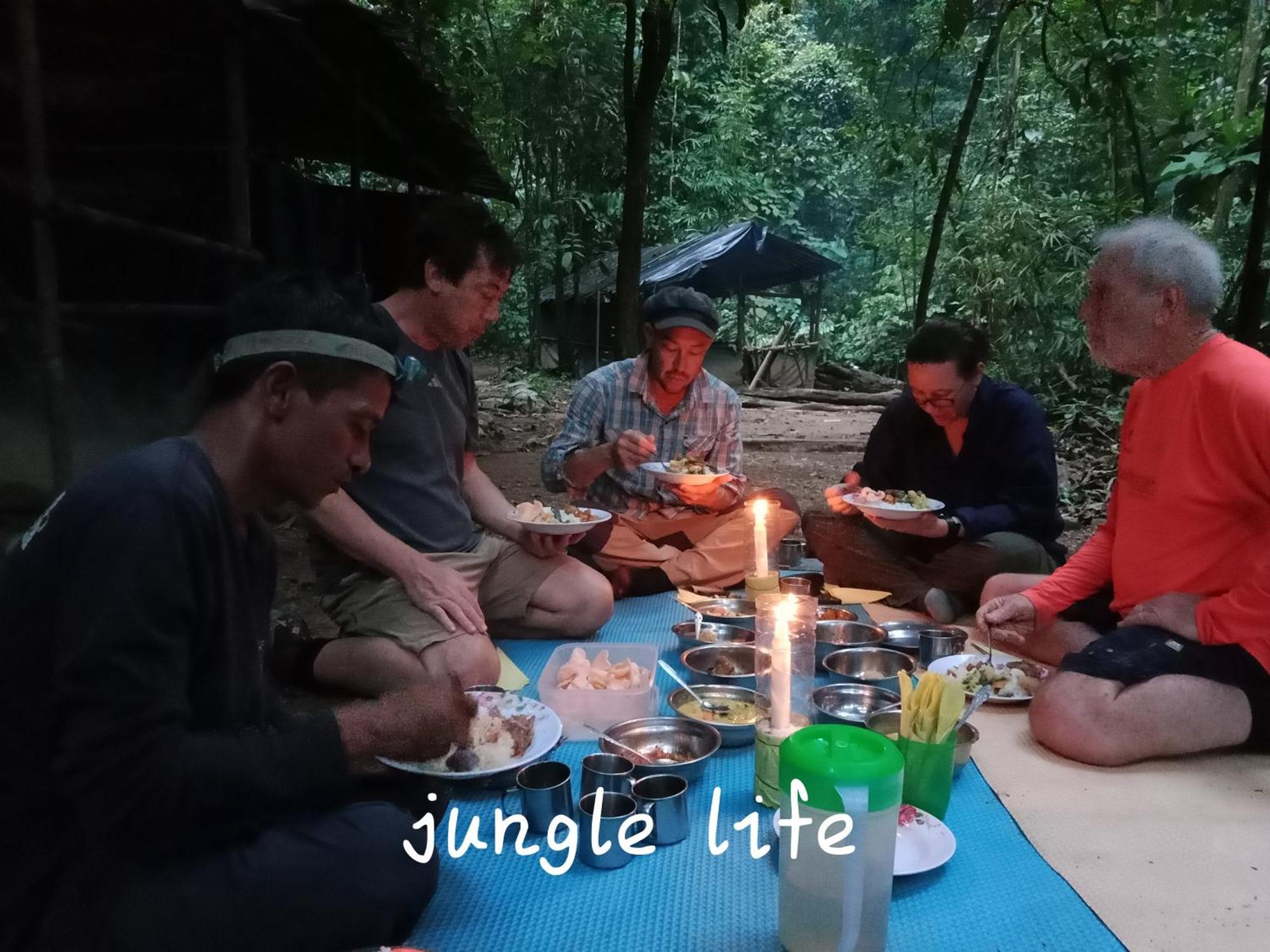 Jungle Life Guest House - Trekking & Transport Only Book With Us Bukit Lawang Eksteriør bilde