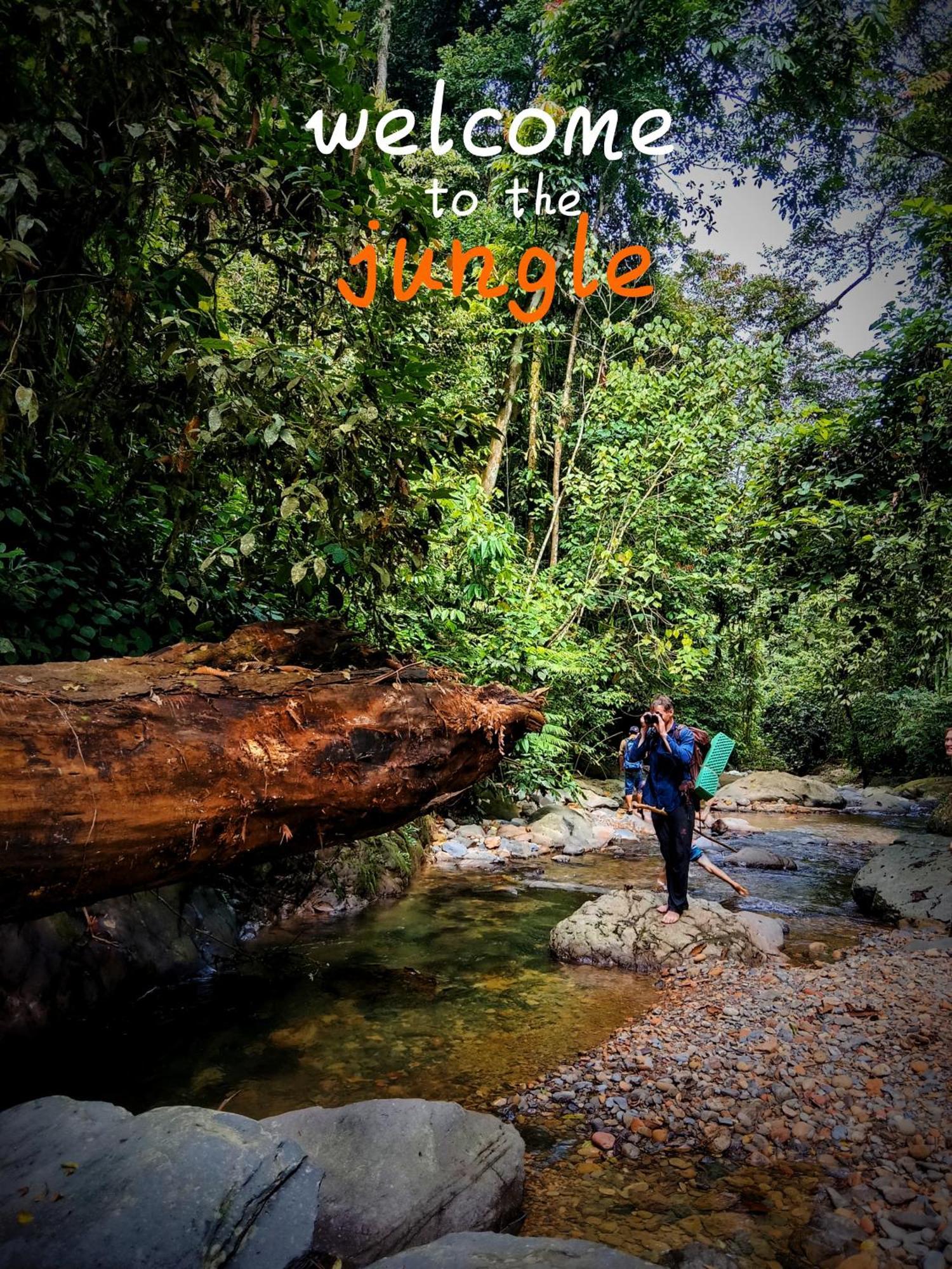 Jungle Life Guest House - Trekking & Transport Only Book With Us Bukit Lawang Eksteriør bilde