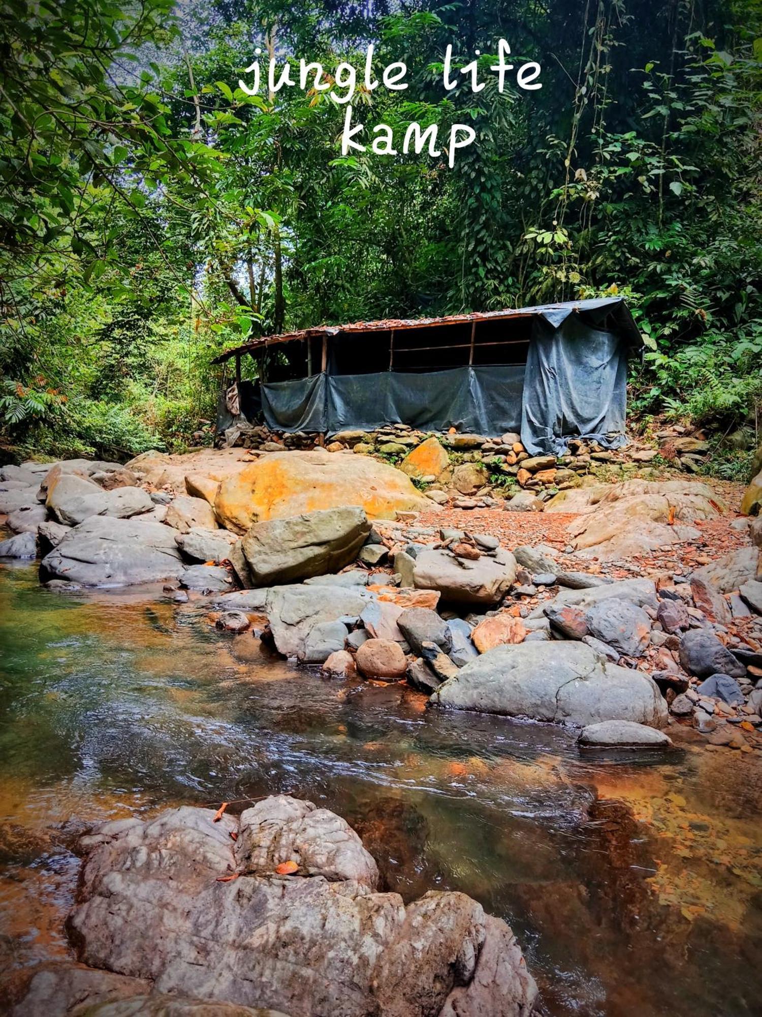 Jungle Life Guest House - Trekking & Transport Only Book With Us Bukit Lawang Eksteriør bilde