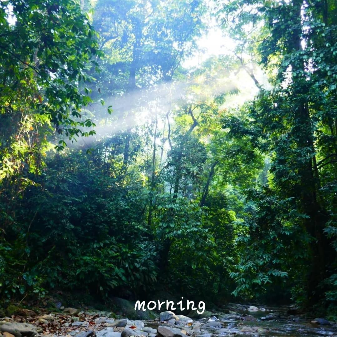 Jungle Life Guest House - Trekking & Transport Only Book With Us Bukit Lawang Eksteriør bilde