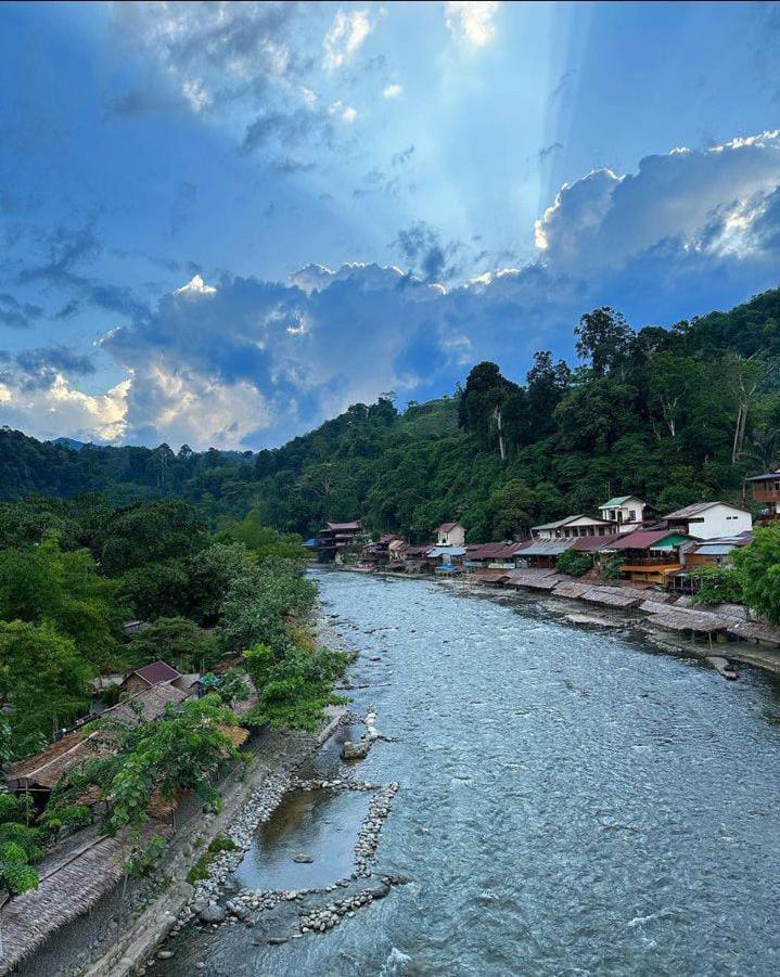 Jungle Life Guest House - Trekking & Transport Only Book With Us Bukit Lawang Eksteriør bilde