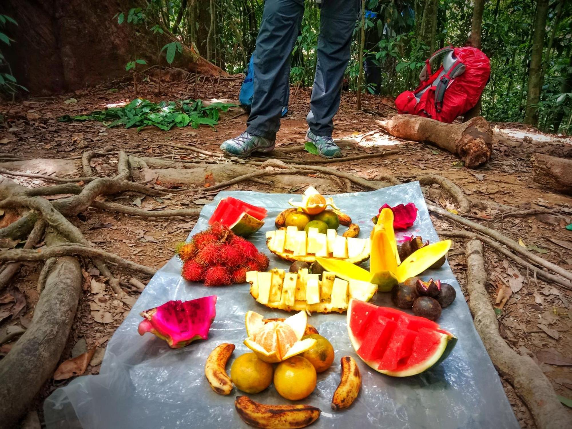 Jungle Life Guest House - Trekking & Transport Only Book With Us Bukit Lawang Eksteriør bilde