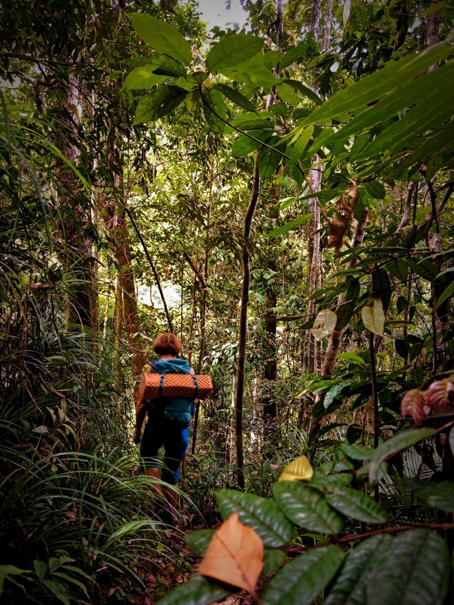 Jungle Life Guest House - Trekking & Transport Only Book With Us Bukit Lawang Eksteriør bilde