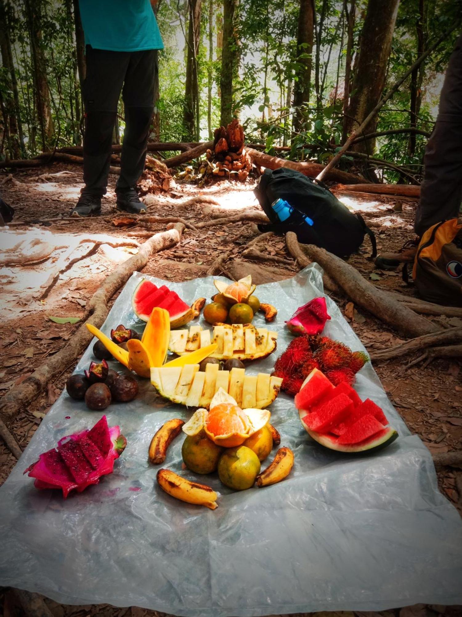 Jungle Life Guest House - Trekking & Transport Only Book With Us Bukit Lawang Eksteriør bilde